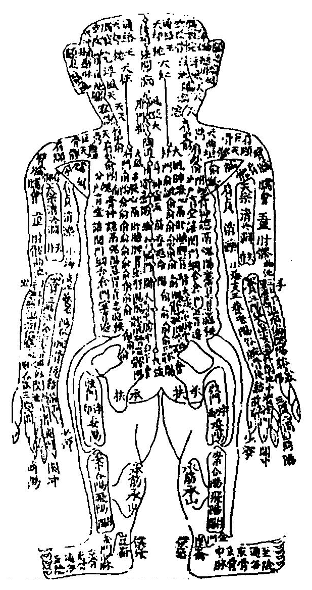伏人周身總穴圖