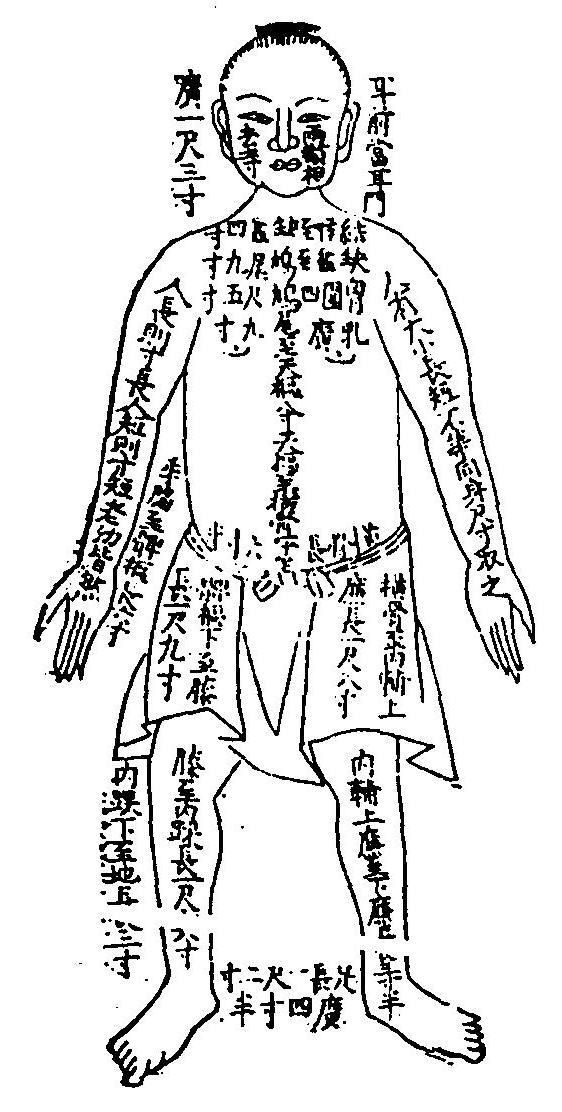 仰人尺寸圖