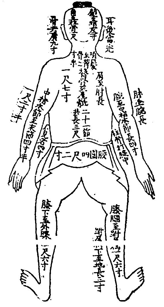 伏人尺寸圖