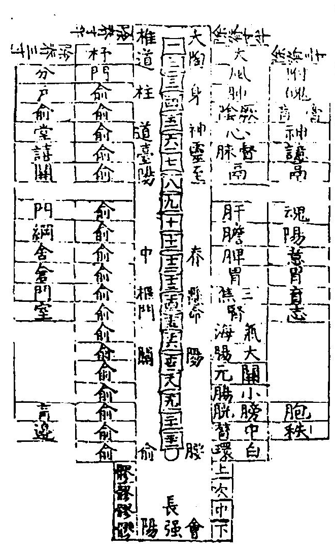 背部穴圖