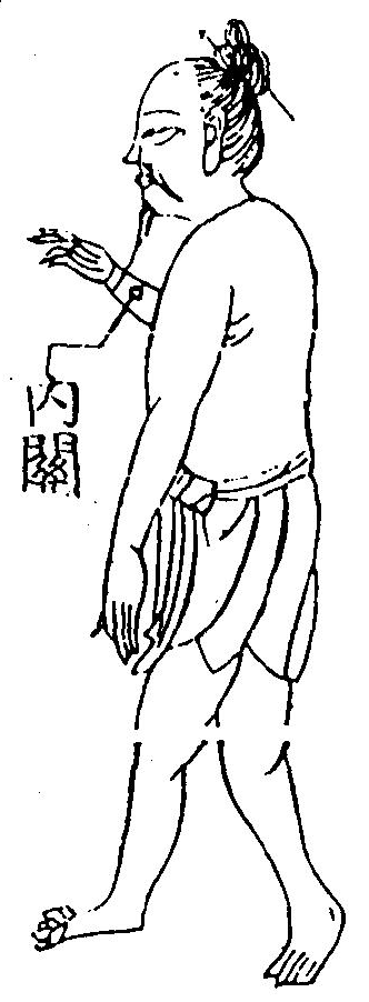 陰維脈