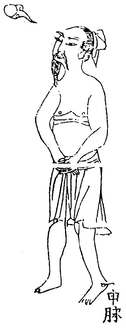 陽蹻脈