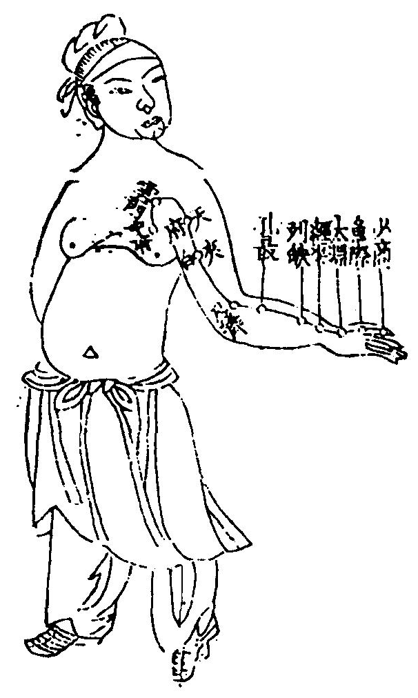 手太陰肺經