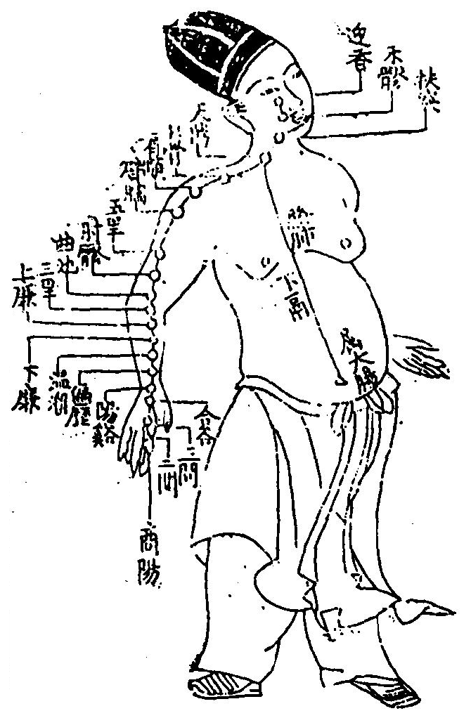 手陽明大腸經