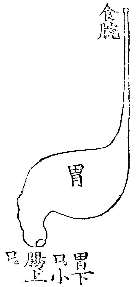 胃腑圖