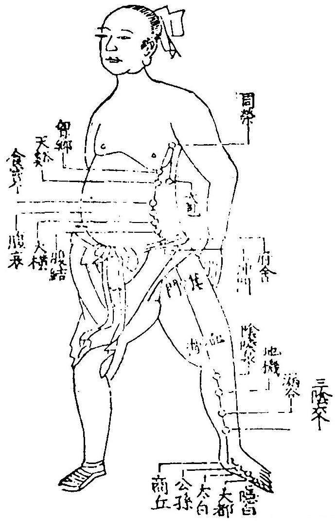 足太陰脾經
