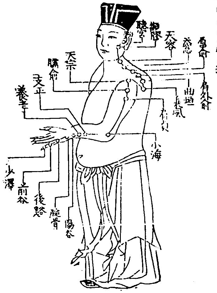 手太陽小腸經