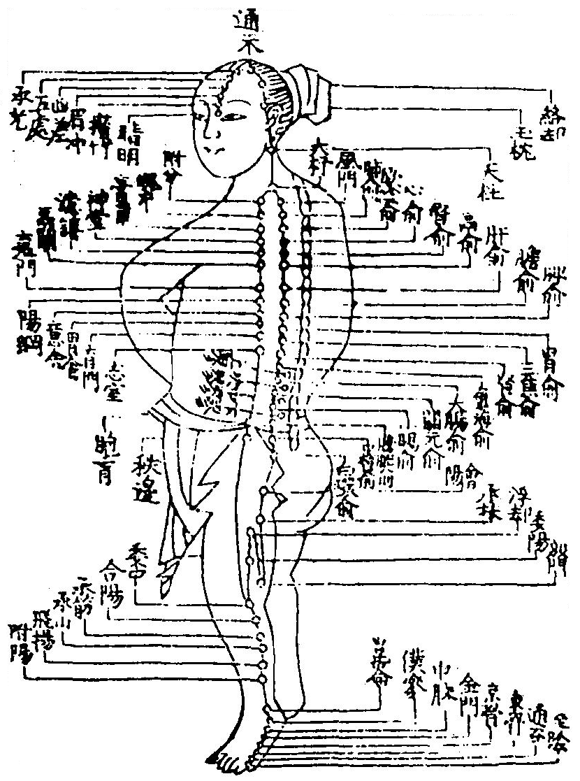 足太陽膀胱經