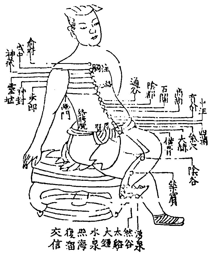 足少陰腎經