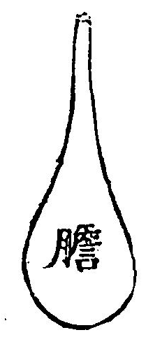 膽腑圖