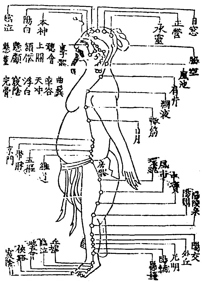足少陽膽經