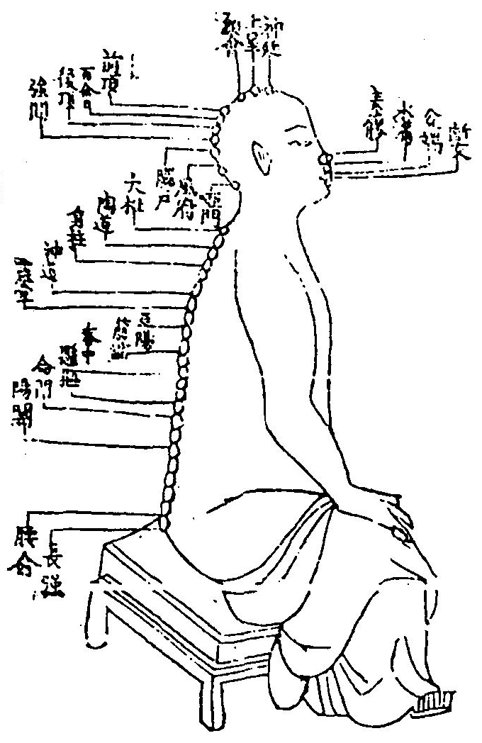 督脈圖