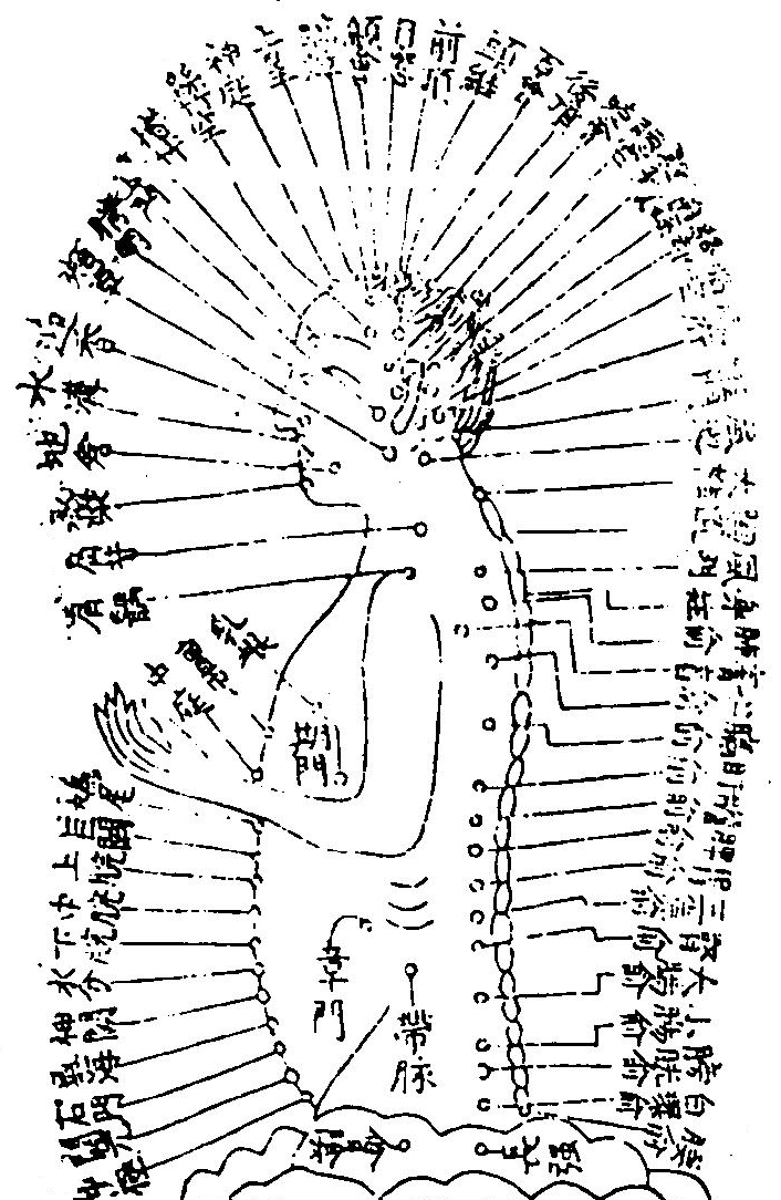 穴法圖