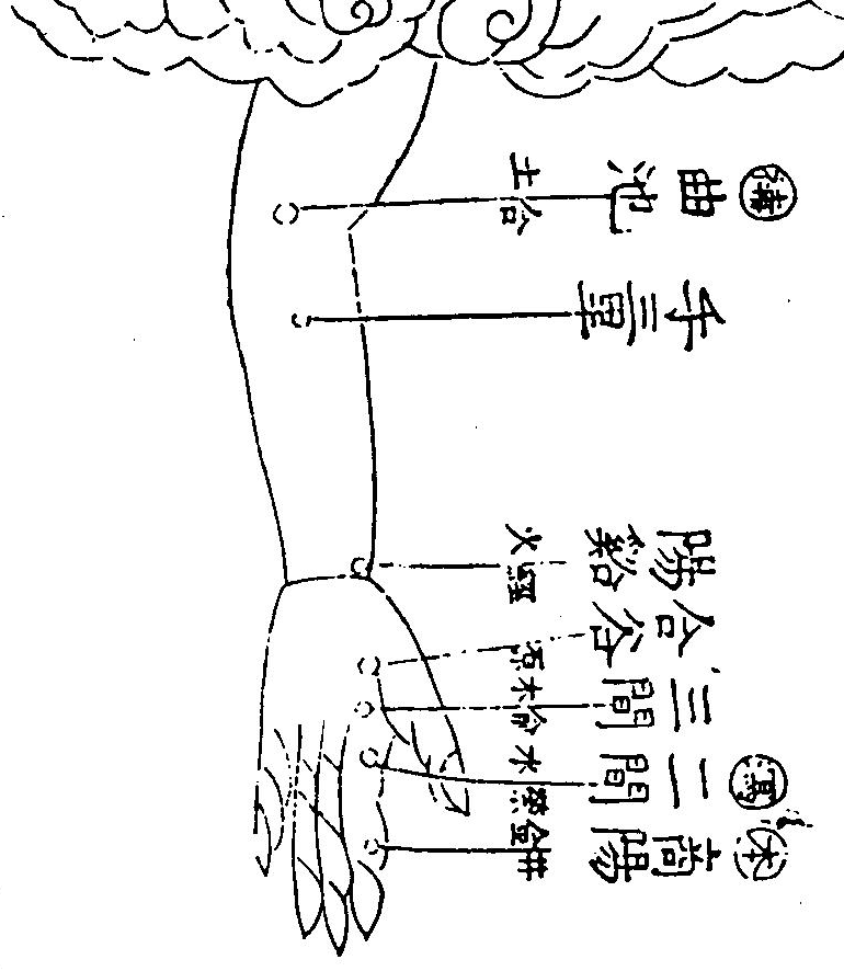 手陽明大腸經