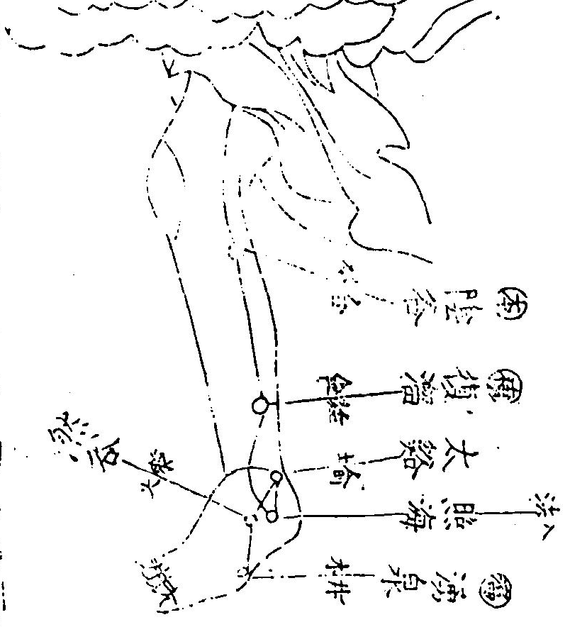 足少陰腎經