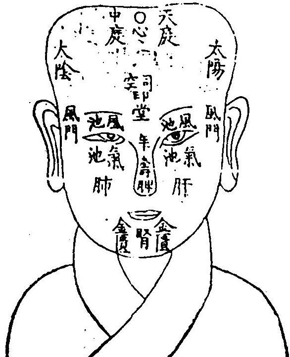 面部五位圖