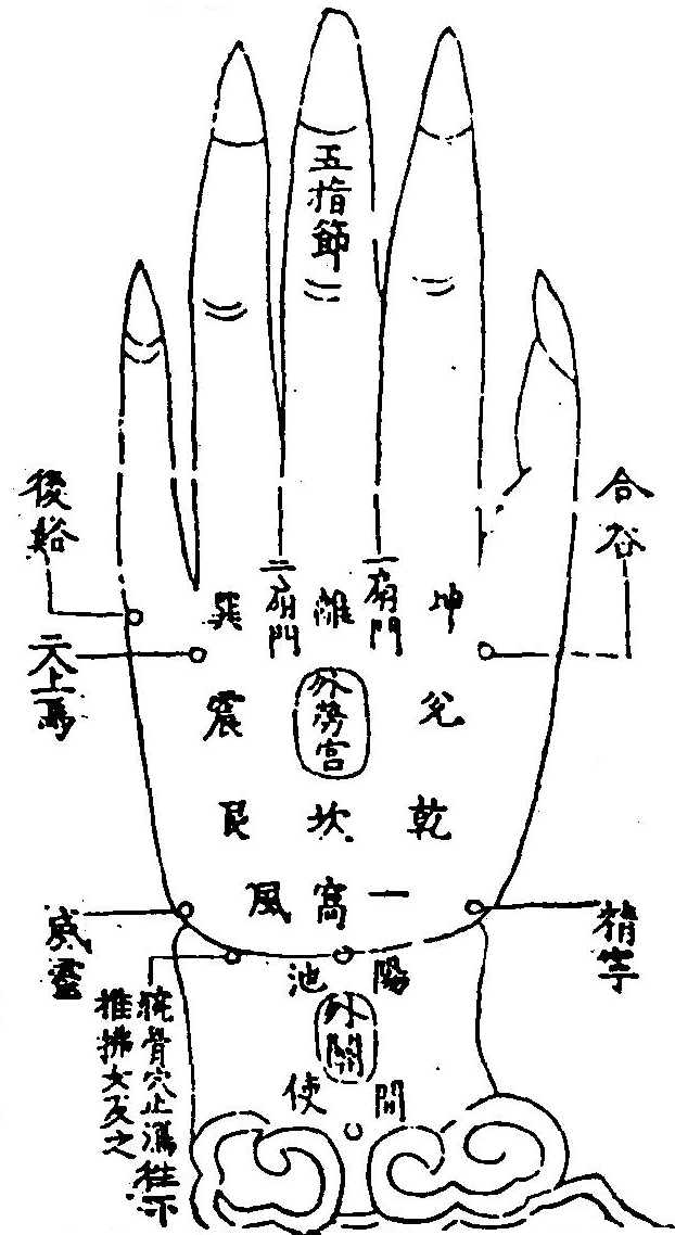 男子左手背面之圖