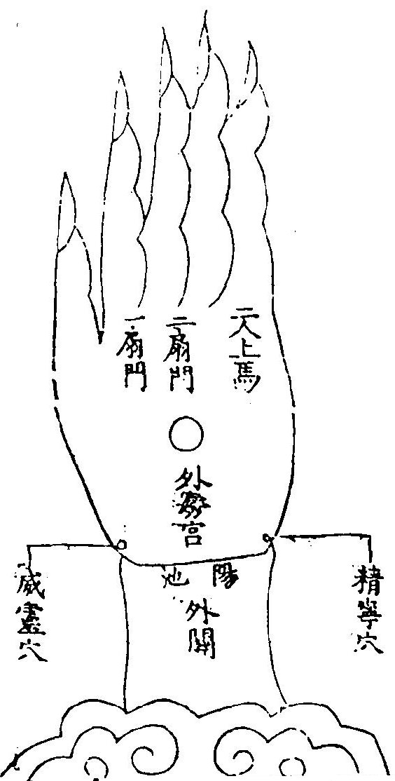 女子左手背面之圖