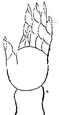 水字