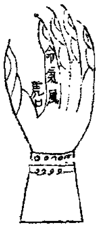 虎口三關脈紋之圖